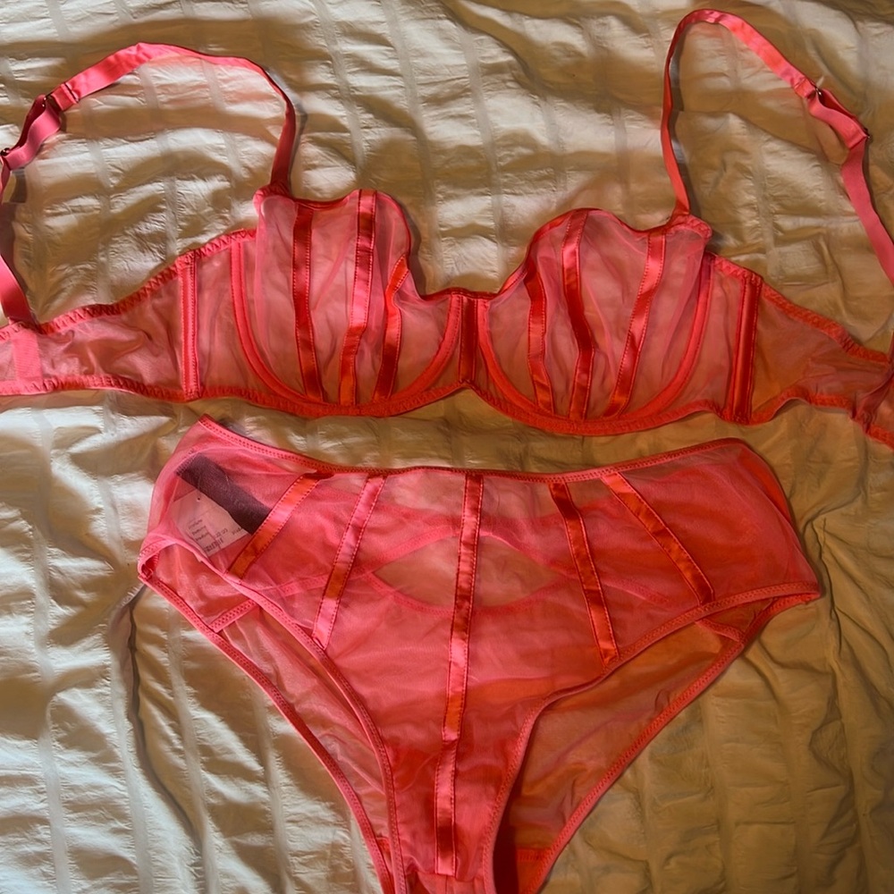 The Implicite Talisman Sheer Demi Bra & undies set